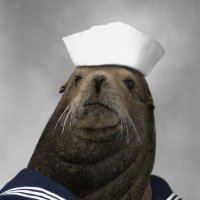 TheDeal (@_seal_the_deal) 's Twitter Profile
