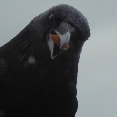 goski1's profile picture. Lover of interior design, houseplants, art, architecture, nature, house/jazz/hip hop/soul music.