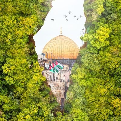 رغم الألم سنحيا كراما رغم الذل سنحيا كراما رغم الظلم سنحيا كراما سيحيا 《 العرب 》كراما دائما و أبداً .......شابة《 عربية 》حلمي أن ينهض العرب مجدداً