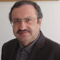 Mehmet Salih ARI(@msari65) 's Twitter Profile Photo