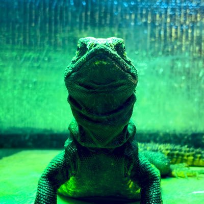 yyybeeyyy's profile picture. ドスケベです。