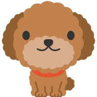 ポイ活プードル@略してポイプー (@poypooodle) Twitter profile photo