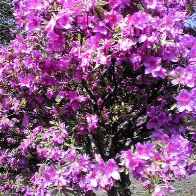 HwDjqeJpdd4RSSB's profile picture. 花とビールが大好きです。大人の感性を語りたいですね！いろんな人との出会いを大切にしたいですね！