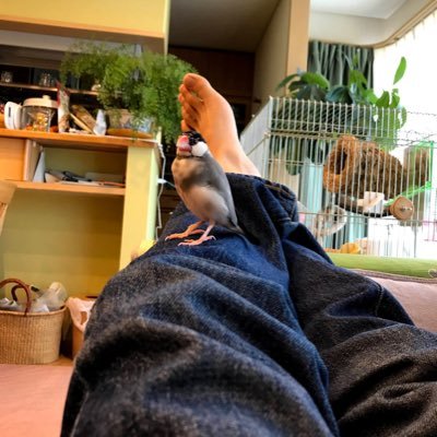 FX3O6BXIjGNpTR8's profile picture. ・高知大・農林海洋科学部農林資源・男 ・18・高知県民・自然が好き・よろしく〜