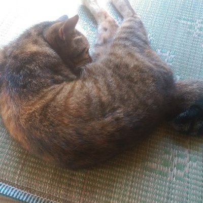 Cyoko A K A 猫bot ほぼしんでるアカなので年単位募 Ff外歓迎 以下楽曲のリフが最好きなので 系統似てる曲教えてシャス The Band Apart Eric Wの2回目サビのギター ハイスコアガールop New Stranger Opのギター 東京事変 透明人間 サビのピアノ3連 Cyoko A K A 猫bot ほぼしんでるアカなので年単位募 Ff外歓迎 以下楽曲のリフが最好きなので 系統似てる曲教えてシャス The Band Apart Eric Wの2回目サビのギター ハイスコアガールop New Stranger Opのギター 東京事変 透明人間 サビのピアノ3連