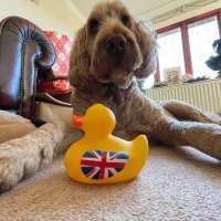 TamTom (@thymeatthepark) 's Twitter Profile Photo