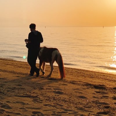 中部大学 経営情報学部 経営総合学科卒業しました! 麻雀サークル創設。 麻雀サークル:@CU_mahjong_club