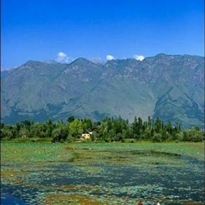 RakeshK48424549's profile picture. https://t.co/inCcmhVSMM