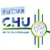 Futur CHU de la Guadeloupe (@futurchu971) Twitter profile photo