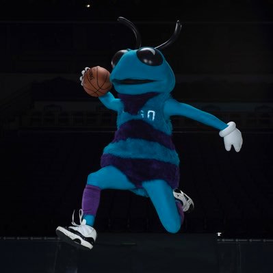 The Official Twitter of the Charlotte Hornets' Mascot, Hugo the Hornet.