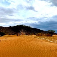 بيشة شهران (@bisha_shahran) 's Twitter Profile
