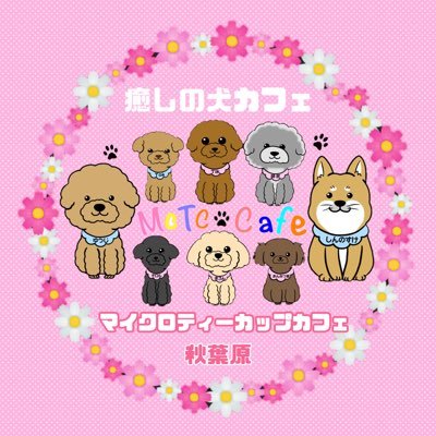 【Google 口コミ 犬カフェ部門日本1位】 ▷世界一小さく可愛いわんちゃんカフェ🐶 ▶︎可愛いワンちゃん達と触れ合える癒しの犬カフェ 🐾 ▶︎新店舗浅草店→@micro_asakusa ▷Instagram→micro_teacup.cafe.akihabara ▶︎HP予約受付中★