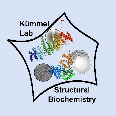 Structural biochemistry lab @WWU_Muenster with a focus on small GTPases and signalling
