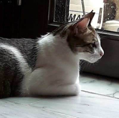 yutamaotw's profile picture. 