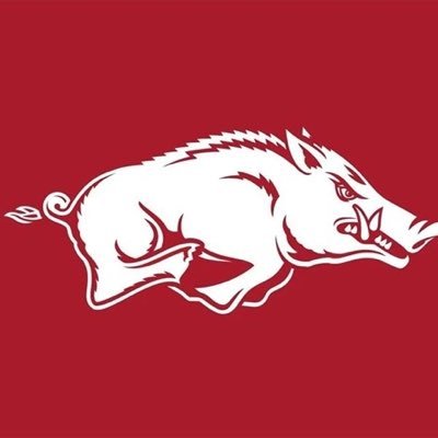 Razorback Fan Profile
