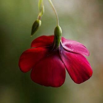 JkpSaravanan's profile picture. 