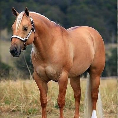 luagomkymosabyy's profile picture. 