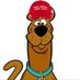 not YAF (@officialyaf) Twitter profile photo not YAF (@officialyaf) Twitter profile photo