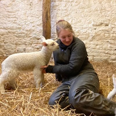 Vet student, Farm Animal Welfare advocate. Fan of all things Ovine. MSc AABAW grad. #VetTwitter #AnimalWelfare