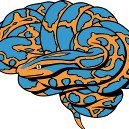 Statistics for NeuroImaging in Python.

Mastodon handle: @nilearn@fosstodon.org