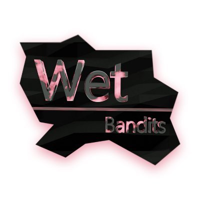 WetBandits1980 Profile Picture