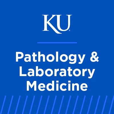 The Department of Pathology & Laboratory Medicine at the University of Kansas School of Medicine. Posts are not medical advice.