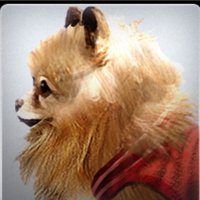 Kazamati (@psnkazamati) 's Twitter Profile Photo Kazamati (@psnkazamati) 's Twitter Profile Photo