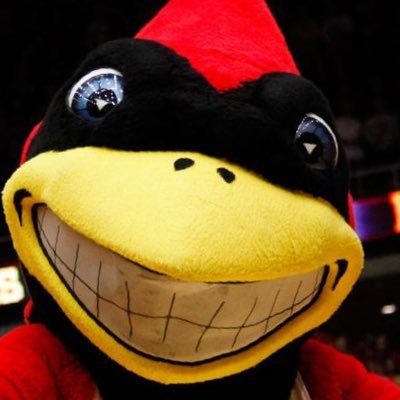 just a cyclone who is actually a cardinal bird                           everyone always says ‘go cyclones’ but no one asks ‘how is the cyclone?’