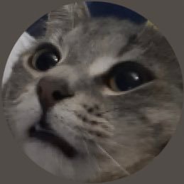 FrozyOn's profile picture. 13yrs magyar competetiv player🇭🇺💫✨