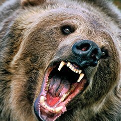 Sdkln2's profile picture. Crypto - decentralization - free world