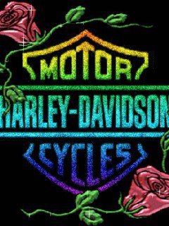 kingschild3's profile picture. 