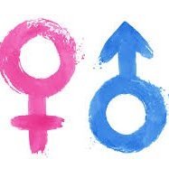 GenderSwitchBot's profile picture. I switch the gender in your Tweet