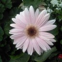 Patricia Hetzel - @Patricia3254 - Twitter