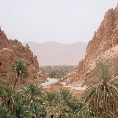 Nonodz73486390's profile picture. 