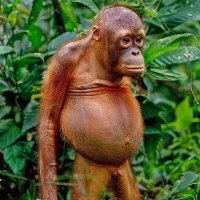 Gronum Smith (@gronumsmith) 's Twitter Profile Photo