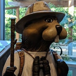 billjin8's profile picture. 曾经的韭菜，珍惜过好重生的每一天。