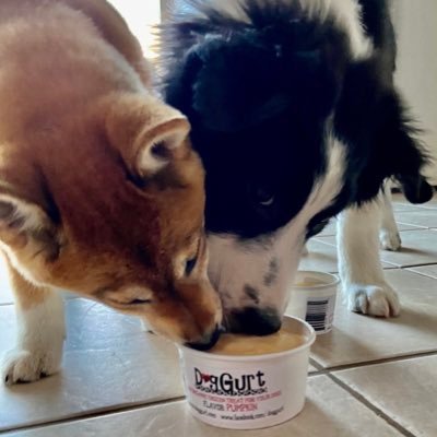 All natural, healthy frozen treat for your 4-legged friends! Made in Omaha