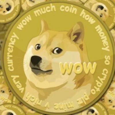 Dogecoin Maximalist.          DA5qC3d9Mmq8hQRvhBhDeZuK8uFRYhfua6