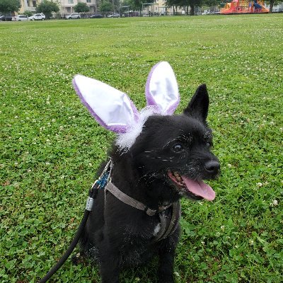 LivingEpically's profile picture. Lawd, thank you for making me strong, awesome and EPIC ! 
Thank you for this good Earth and it's good people.