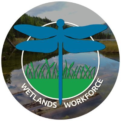 Working to protect, restore and promote B.C.'s wetlands and watersheds.