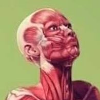 Bohol_Milker's profile picture. 18|dm me😉