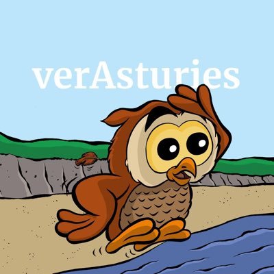 VerAsturies_ Profile Picture