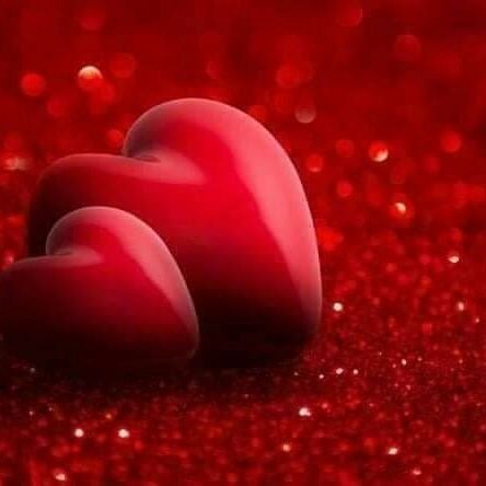 TWpyGpOVK40D7ca's profile picture. 