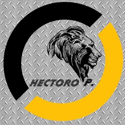 paezrumbos's profile picture. 