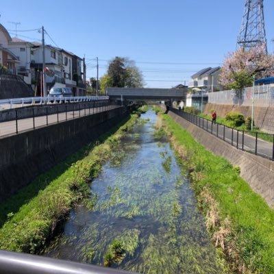 taiondownup's profile picture. 関西住みミドサーワーママ /PCOS/むすめとむすこ/保育園/実家遠方/愚痴こぼすよ