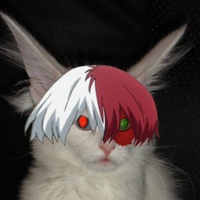 vimiunki's profile picture. um grande estardalhaço por nada™️                           
2054