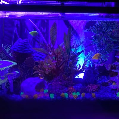 tabasco317's profile picture. 