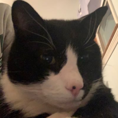 kraft_n_cheez's profile picture. No matter what, you are always Percy’s bitch