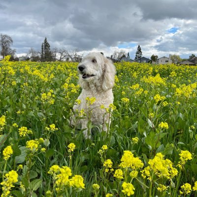 flyer_space's profile picture. Test Hard and find🐛🐛🕷🕷🐜