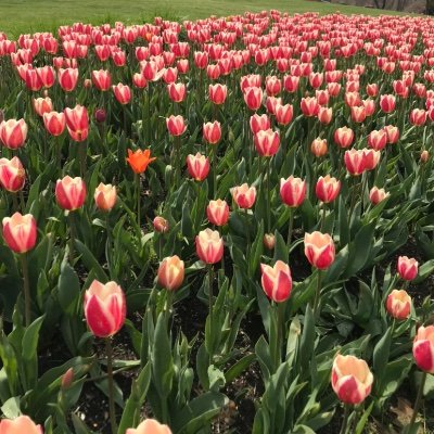 kellyc1824's profile picture. 